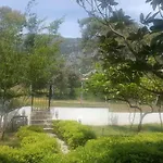 Summer 3*